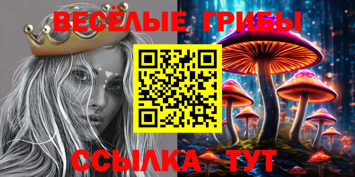 Котельники  где можно купить наркотик  Вход с VPN  Псилоцибиновые грибы Cubensis 