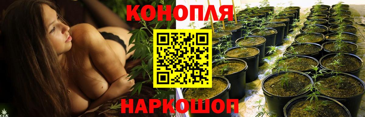 Бошки марихуана THC 21%  Бошки Шишки планчик  Канабис Ganja  Вход с VPN  Котельники 